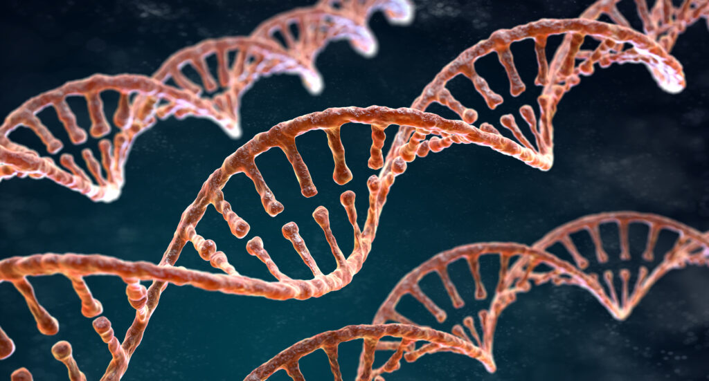 Spiralstränge der DNA auf dem dunklen Hintergrund
