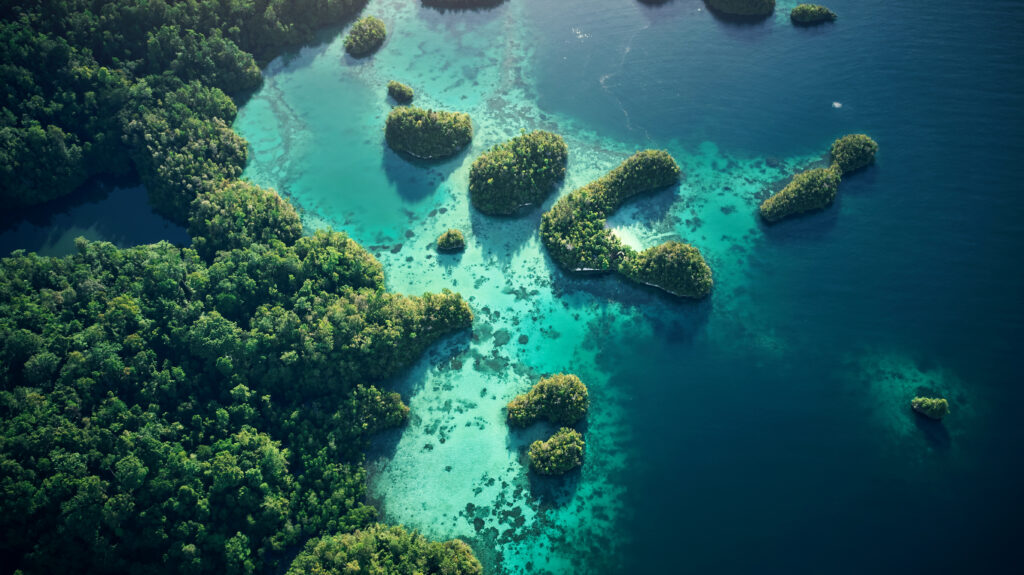 Idyllischer Bick auf eine kleine Bucht in Indonesien die sehr grünes Wasser und Bepflanzung zeigt
