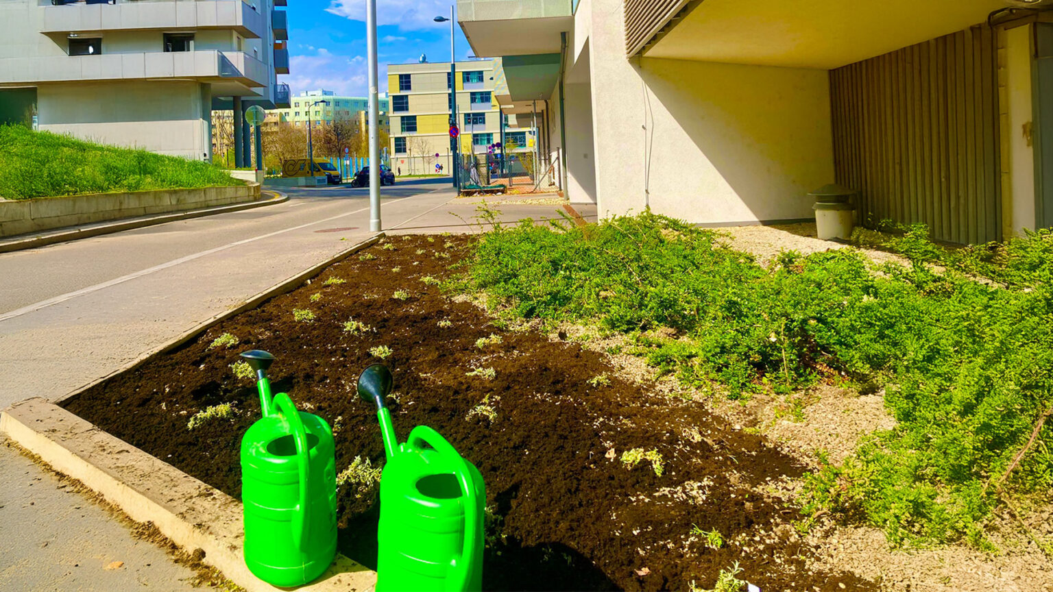 Hofmann Günter über nachhaltige Gartenpflege und Innovationen in Wien.
