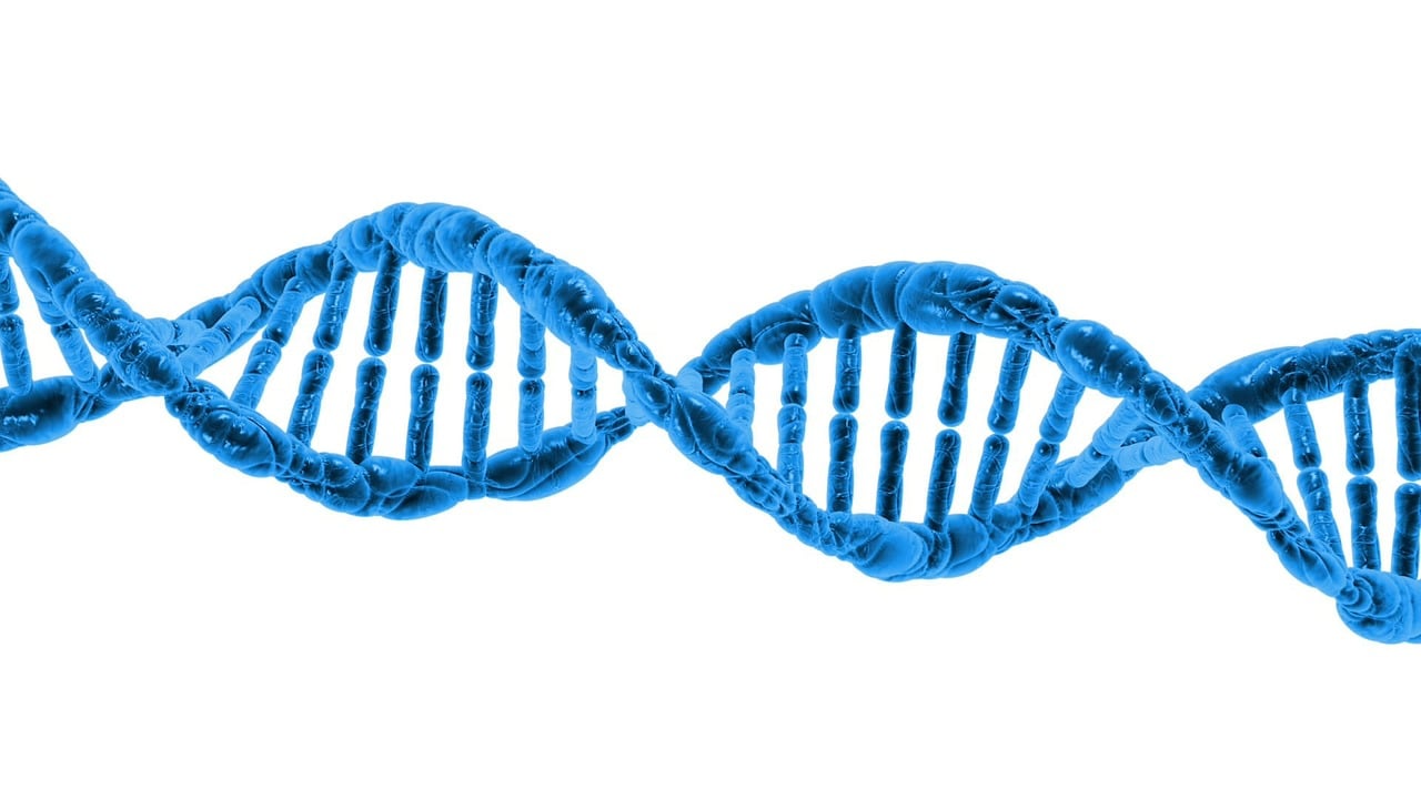 Laborarbeitsplatz mit Pipetten und Proben, wie er für die Erforschung des RNA-Schalters verwendet wird – Foto: PublicDomainPictures / Pixabay