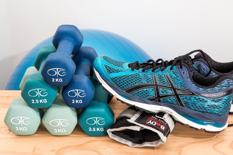 Ein wassergefüllter Trainingsbogen liegt auf dem Boden eines Fitnessraums, wie ihn die Gründer bei der Höhle der Löwen vorstellen – Foto: stevepb / Pixabay